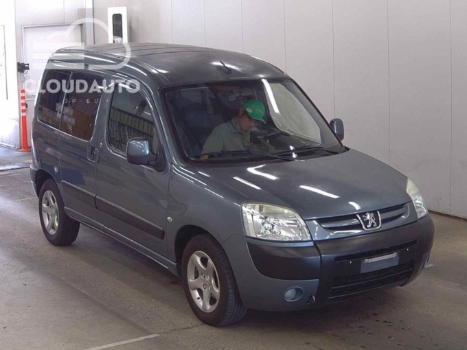2007 Peugeot
